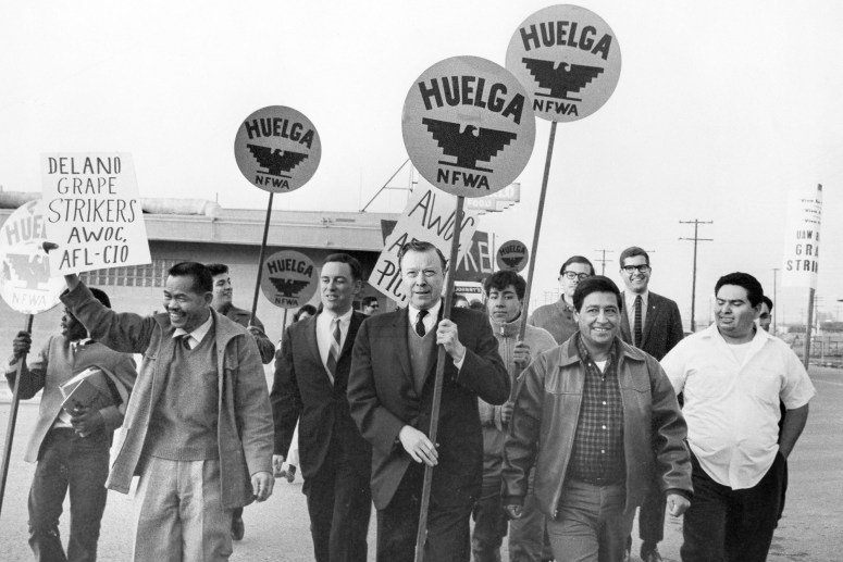 Un groupe de manifestants brandissant des pancartes lors d'une grève des travailleurs agricoles, avec des slogans comme 'HUELGA' et 'Delano Grape Strikers'.