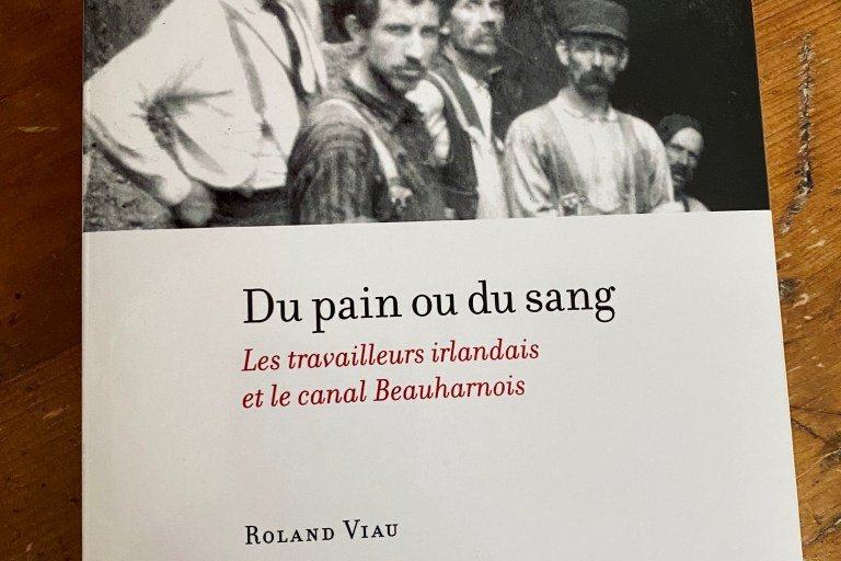 Couverture du livre 'Du pain ou du sang' de Roland Viau, abordant l'histoire des travailleurs irlandais et le canal de Beauharnois.